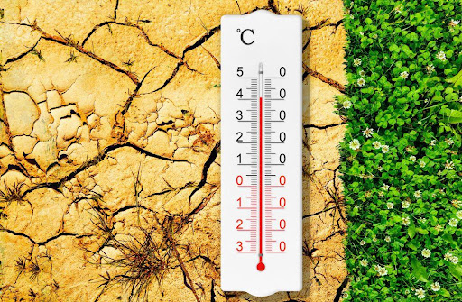 Effetti della Temperatura Solare sulla Terra