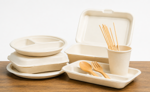 Di cosa sono fatti i bicchieri compostabili? Materiali, certificazioni e differenze da conoscere
